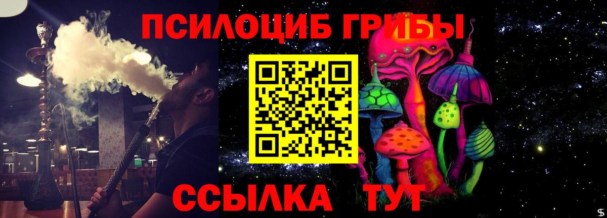 Псилоцибиновые грибы прущие грибы Евпатория