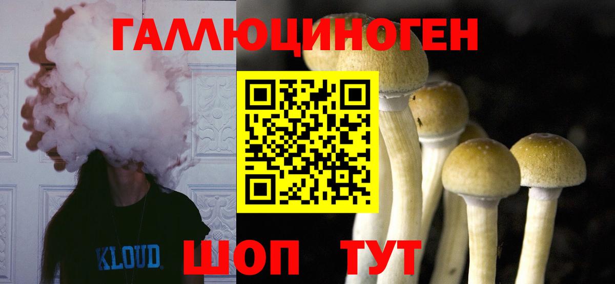 Галлюциногенные грибы Cubensis  Вход с VPN  цена   Евпатория  Псилоцибиновые грибы GOLDEN TEACHER 